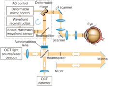 FIGURE 1. Adaptive optics placed in the sample arm of an ultra-high-resolution OCT instrument corrects ocular aberration in real time. FIGURE 1. Adaptive optics placed in the sample arm of an ultra-high-resolution OCT instrument corrects ocular aberration in real time.