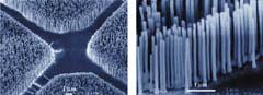 These images, captured with a scanning electron microscope, show an array of ultraviolet ZnO nanowire nanolasers. Bunched together in this manner, the nanolasers are bright enough to be used in applications such as optical computing, information storage, and nano-analysis.