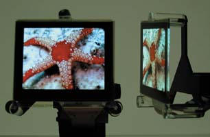 Flat-panel displays made from organic light-emitting diodes (OLEDs) have a wide viewing angle, brighter picture, and higher resolution, and are thinner than standard liquid-crystal displays. This display is less than 2 mm thick.