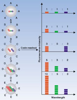 FIGURE 1. In the optical coding method, based on wavelength and intensity multiplexing, the largest spheres represent polymer microbeads, in which smaller colored spheres (quantum dots) are embedded according to predetermined intensity ratios. Molecular probes are attached to the bead surface for biological binding and recognition, such as DNA hybridization. The colored (blue, green, red) spheres illustrate fluorescence intensity levels only. An optical measurement is possible by measuring the fluorescence spectra of single beads. FIGURE 1. In the optical coding method, based on wavelength and intensity multiplexing, the largest spheres represent polymer microbeads, in which smaller colored spheres (quantum dots) are embedded according to predetermined intensity ratios. Molecular probes are attached to the bead surface for biological binding and recognition, such as DNA hybridization. The colored (blue, green, red) spheres illustrate fluorescence intensity levels only. An optical measurement is possible by measuring the fluorescence spectra of single beads.