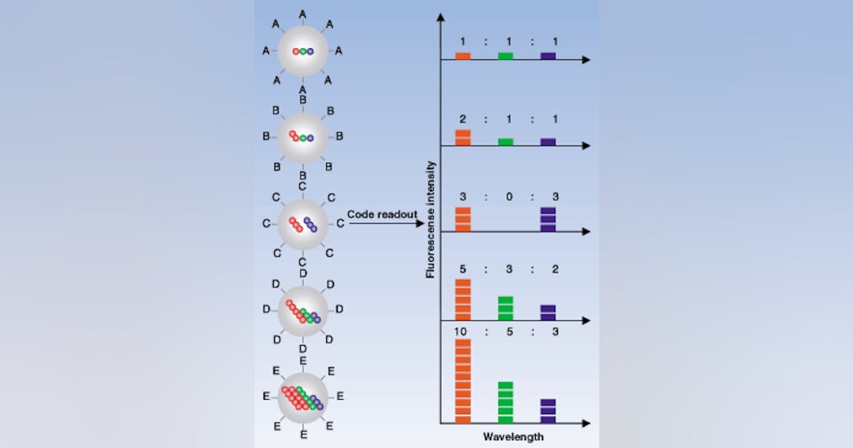 Color-coded quantum dots provide fast DNA testing | Laser Focus World