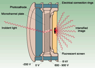 FIGURE 1. This intensifier has a photocathode that emits electrons when struck by photons, as well as a multichannel plate that multiplies the electrons and a fluorescent screen that emits photons when struck by electrons.