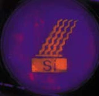 Porous silicon emits orange light upon ultraviolet (365-nm) irradiation. After exposure of this sample to boiling base (pH 12 aqueous KOH), only the functionalized areas still emit light (orange areas).