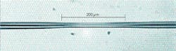 FIGURE 1. Fiber microcoupler was tapered using a CO2 laser. The fused interaction region is about 200 microns long - reportedly the shortest fiber coupler ever. FIGURE 1. Fiber microcoupler was tapered using a CO2 laser. The fused interaction region is about 200 microns long - reportedly the shortest fiber coupler ever.