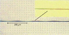 FIGURE 2. Four periods of a microtapered long-period grating (LPG) vary periodically from 15 to 10 µm. A single bulge (inset) can also behave as a prolate whispering-gallery mode (WGM) microcavity. FIGURE 2. Four periods of a microtapered long-period grating (LPG) vary periodically from 15 to 10 µm. A single bulge (inset) can also behave as a prolate whispering-gallery mode (WGM) microcavity.