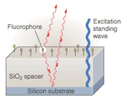 FIGURE 1. A transparent silicon dioxide layer separates fluorophores from the mirror surface by about 10 wavelengths to provide sensitive distance measurement based on spectral self-interference. Scanning the excitation standing wave enables weighting of fluorophores for self-interference measurements of fluorophores with arbitrary spatial distributions. FIGURE 1. A transparent silicon dioxide layer separates fluorophores from the mirror surface by about 10 wavelengths to provide sensitive distance measurement based on spectral self-interference. Scanning the excitation standing wave enables weighting of fluorophores for self-interference measurements of fluorophores with arbitrary spatial distributions.