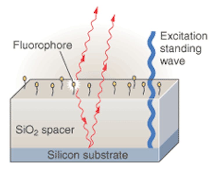 FIGURE 1. A transparent silicon dioxide layer separates fluorophores from the mirror surface by about 10 wavelengths to provide sensitive distance measurement based on spectral self-interference. Scanning the excitation standing wave enables weighting of fluorophores for self-interference measurements of fluorophores with arbitrary spatial distributions.