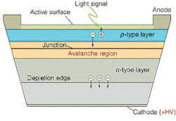 FIGURE 2. The high bias voltage in an avalanche photodiode quickly accelerates charges away from the junction region. The charges gain sufficient momentum to ionize the atoms in the crystal lattice, producing more electrons and further ionization in a cascade effect that results in a high-gain detector. FIGURE 2. The high bias voltage in an avalanche photodiode quickly accelerates charges away from the junction region. The charges gain sufficient momentum to ionize the atoms in the crystal lattice, producing more electrons and further ionization in a cascade effect that results in a high-gain detector.