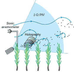 Plant-scale experimental study in wind tunnel and field measures pollen in vertical flux using two-dimensional PIV. A holographic camera measures three-dimensional pollen distribution. The NSF grant will use the same instruments to study particle distribution in the area of the World Trade Center. Plant-scale experimental study in wind tunnel and field measures pollen in vertical flux using two-dimensional PIV. A holographic camera measures three-dimensional pollen distribution. The NSF grant will use the same instruments to study particle distribution in the area of the World Trade Center.
