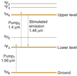 FIGURE 3. Stimulated emission in a thulium-doped fluoride fiber occurs between two levels above the ground state. Pumping with two different wavelengths (1.56 μm for the first step and 1.4 μm for the second) is more efficient because these are absorbed strongly. The same wavelength could excite the atom in both transitions, but would have weak absorption on one or both lines. FIGURE 3. Stimulated emission in a thulium-doped fluoride fiber occurs between two levels above the ground state. Pumping with two different wavelengths (1.56 μm for the first step and 1.4 μm for the second) is more efficient because these are absorbed strongly. The same wavelength could excite the atom in both transitions, but would have weak absorption on one or both lines.