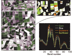 FIGURE 3. In the Coleambally irrigation area in Australia (left), crops can be identified by color (top right: corn is green; rice is white; soybeans are brown; sunflowers are yellow) and by spectral fingerprint (bottom right). FIGURE 3. In the Coleambally irrigation area in Australia (left), crops can be identified by color (top right: corn is green; rice is white; soybeans are brown; sunflowers are yellow) and by spectral fingerprint (bottom right).