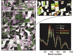 FIGURE 3. In the Coleambally irrigation area in Australia (left), crops can be identified by color (top right: corn is green; rice is white; soybeans are brown; sunflowers are yellow) and by spectral fingerprint (bottom right). FIGURE 3. In the Coleambally irrigation area in Australia (left), crops can be identified by color (top right: corn is green; rice is white; soybeans are brown; sunflowers are yellow) and by spectral fingerprint (bottom right).