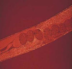 Th Cars 0809 02 Th Cars 0809 02