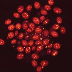 Th Cars 0809 03 Th Cars 0809 03