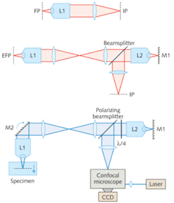 FIGURE 1. The standard architecture of most commercial microscope systems (top) consists of a high-numerical-aperture (NA) objective lens (L1), and a low-NA tube lens (top). The researchers’ design (center) adds a second high-NA objective lens, a mirror (M1), and a beamsplitter (BS). The fast, remote-focusing architecture is combined with a real-time Nipkow-disc confocal microscope in a system (bottom) that also includes an extra mirror (m2) near the pupil plane of Lens1. A laser provides illumination, and a polarizing beamsplitter and quarter-wave plate ( λ/4) direct illumination light through the system into the specimen and back through to the confocal microscope. FIGURE 1. The standard architecture of most commercial microscope systems (top) consists of a high-numerical-aperture (NA) objective lens (L1), and a low-NA tube lens (top). The researchers’ design (center) adds a second high-NA objective lens, a mirror (M1), and a beamsplitter (BS). The fast, remote-focusing architecture is combined with a real-time Nipkow-disc confocal microscope in a system (bottom) that also includes an extra mirror (m2) near the pupil plane of Lens1. A laser provides illumination, and a polarizing beamsplitter and quarter-wave plate ( λ/4) direct illumination light through the system into the specimen and back through to the confocal microscope.