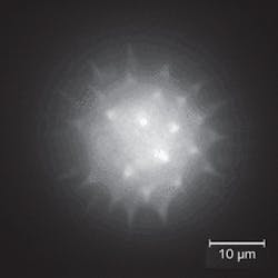 FIGURE 2. A single frame of an EDF movie shows a pollen grain. In the movie, the user varies the perspective of the grain in real time. FIGURE 2. A single frame of an EDF movie shows a pollen grain. In the movie, the user varies the perspective of the grain in real time.