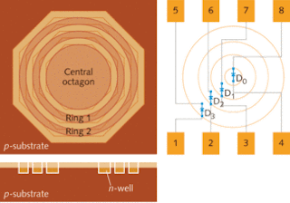 FIGURE 3. A cross section of the n-well p-well structure shows the octagonal rings of the n-well region used to create a concentric photodiode capable of detecting three spatially multiplexed optical channels (left). Photodiodes in the structure (right).