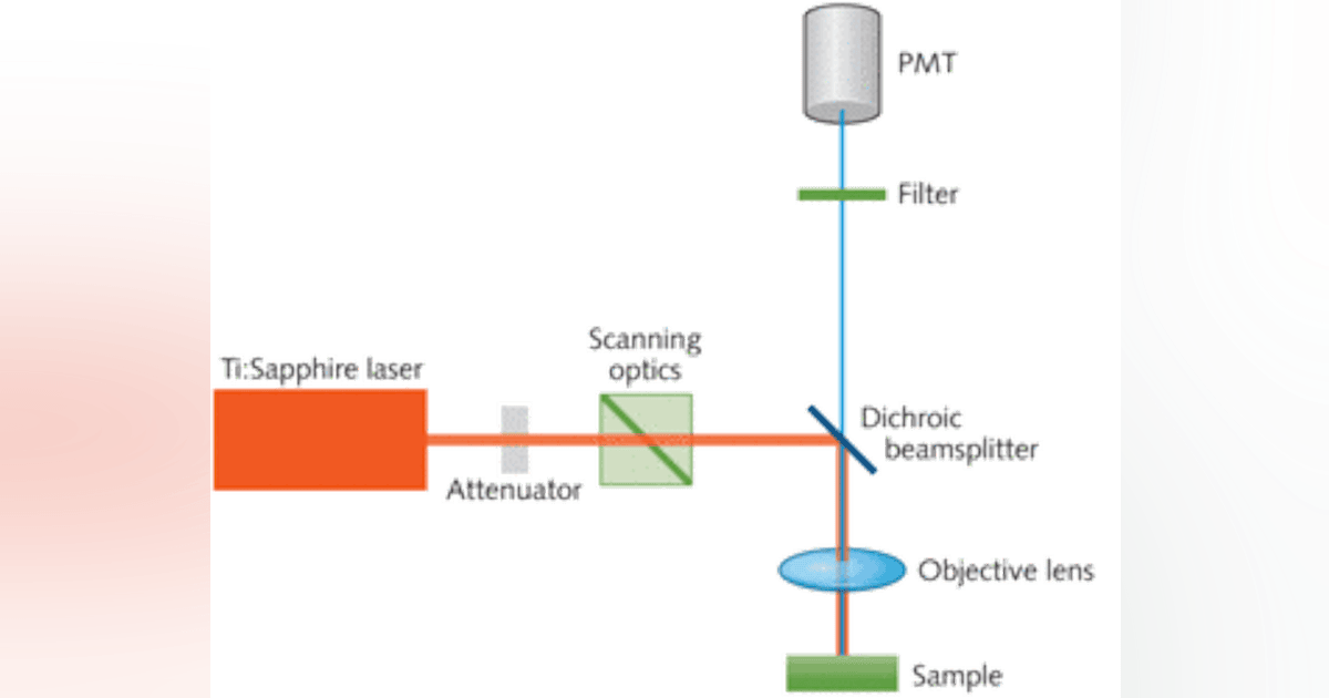 OPTICAL FILTERS FOR BIO-OPTICS: Custom filters improve image quality of ...
