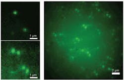 Th Double 01 Th Double 01