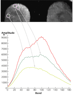 Hyperspectral instruments generate high-contrast images of latent fingerprints while also yielding chemical &ldquo;signature&rdquo; information about material left behind that could be associated with the fingerprint. This image shows that a fingerprint can be nondestructively viewed and analyzed with the spectral signature identified at three discrete points within the field of view.