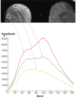 Hyperspectral instruments generate high-contrast images of latent fingerprints while also yielding chemical “signature” information about material left behind that could be associated with the fingerprint. This image shows that a fingerprint can be nondestructively viewed and analyzed with the spectral signature identified at three discrete points within the field of view. Hyperspectral instruments generate high-contrast images of latent fingerprints while also yielding chemical “signature” information about material left behind that could be associated with the fingerprint. This image shows that a fingerprint can be nondestructively viewed and analyzed with the spectral signature identified at three discrete points within the field of view.