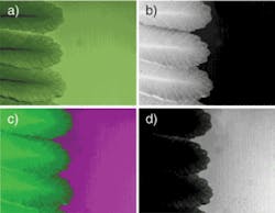 FIGURE 5. A color image of green leaves on a green plastic background (a); map of the spectral component of the leaves (b); map of the background material (c); and composite color image of the leaves and background material (d).