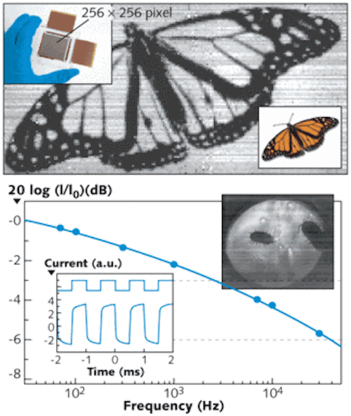 FIGURE 1. A shadow-cast image of a monarch butterfly (top; original in inset) illuminated at 1310 nm shows fine features, such as the limbs and the antennae. The imager (upper inset) has a resolution of 256 x 256 pixels with a pixel pitch of 154 &micro;m. Cut-off frequencies of the diodes are shown in the Bode diagram (bottom). The inset at bottom shows a snapshot taken from a movie of two woodlice (armadillidium vulgare) illuminated at a wavelength of 1310 nm) [2].