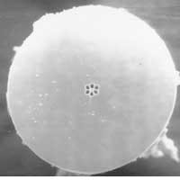 Th Lfw0799 P18bottomrt Th Lfw0799 P18bottomrt