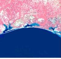 Th Lfw0799 P26 Th Lfw0799 P26