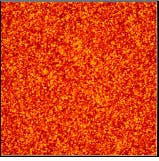 Th Lfw25549 45 Th Lfw25549 45