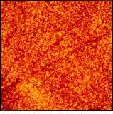 Th Lfw25549 46 Th Lfw25549 46