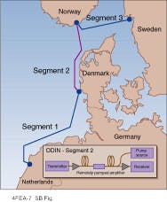 Th Lfw25556 58 Th Lfw25556 58