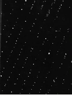 Fluorescence microscopy makes visible E. coli bacteria that are bound to a silicon wafer surface. The bacteria are aligned in rows corresponding to spaces on a grating composed of E. coli antibodies. Fluorescence microscopy makes visible E. coli bacteria that are bound to a silicon wafer surface. The bacteria are aligned in rows corresponding to spaces on a grating composed of E. coli antibodies.