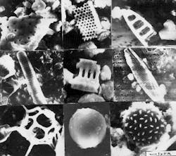 Th Lfw25979 21 Th Lfw25979 21