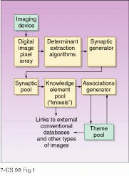 Th Lfw26021 17 Th Lfw26021 17
