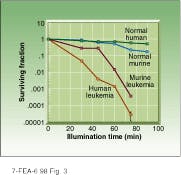 Th Lfw26028 34 Th Lfw26028 34