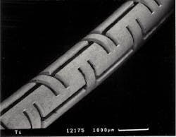 Th Lfw26269 48 Th Lfw26269 48