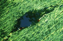 Th Lfw26269 51 Th Lfw26269 51