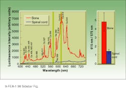 Th Lfw26269 69 Th Lfw26269 69