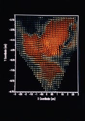 Th Lfw26274 43 Th Lfw26274 43