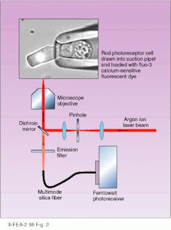 FIGURE 2. Measurement of calcium (Ca2+) ion concentration in a single-rod photoreceptor cell is made with an argon-ion laser that excites a calcium-sensitive fluorescent dye; the fluorescence is collected and imaged into a multimode fiber before detection by a femtowatt photoreceiver. FIGURE 2. Measurement of calcium (Ca2+) ion concentration in a single-rod photoreceptor cell is made with an argon-ion laser that excites a calcium-sensitive fluorescent dye; the fluorescence is collected and imaged into a multimode fiber before detection by a femtowatt photoreceiver.