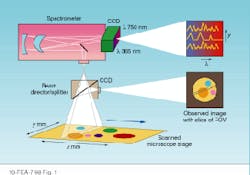 Th Lfw26382 37 Th Lfw26382 37