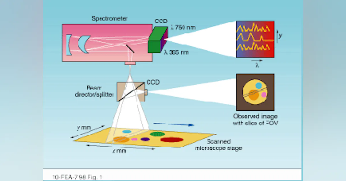 Spectral Vision Hyperspectral imaging opens life-science vistas | Laser Focus World