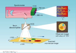 Th Lfw26382 37 Th Lfw26382 37