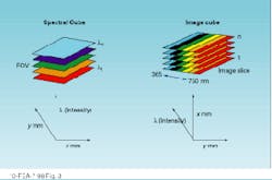 Th Lfw26382 39 Th Lfw26382 39