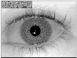 Colored freckles, furrows, rings and other features of an iris can be converted into a matching code (inset) and are considered to be the most accurate biometric identifier. Colored freckles, furrows, rings and other features of an iris can be converted into a matching code (inset) and are considered to be the most accurate biometric identifier.