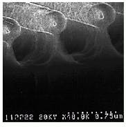 Th Lfw26748 27 Th Lfw26748 27