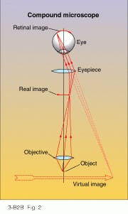 FIGURE 2. The eyepiece of a compound microscope magnifies the enlarged real image from the objective, thus forming a large virtual image at the far point of the eye. FIGURE 2. The eyepiece of a compound microscope magnifies the enlarged real image from the objective, thus forming a large virtual image at the far point of the eye.