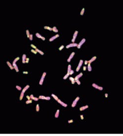 Th Lfw27441 36 Th Lfw27441 36