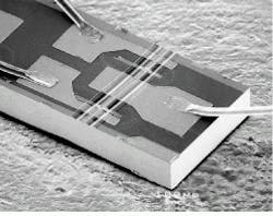 Th Lfw27930 36 Th Lfw27930 36